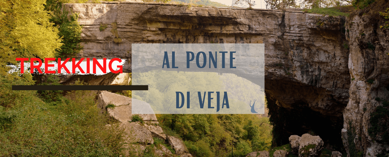 Ponte di Veja