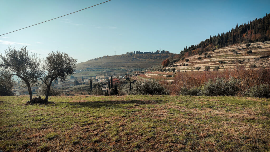 Scorci panoramici lungo il sentiero