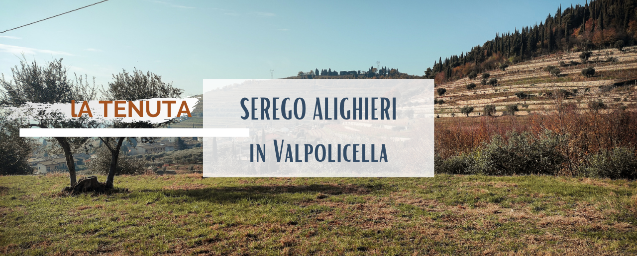 Le Possessioni Serego Alighieri