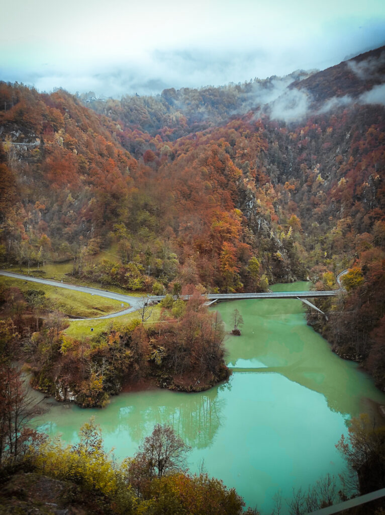 Foliage autunnale dal trenino
