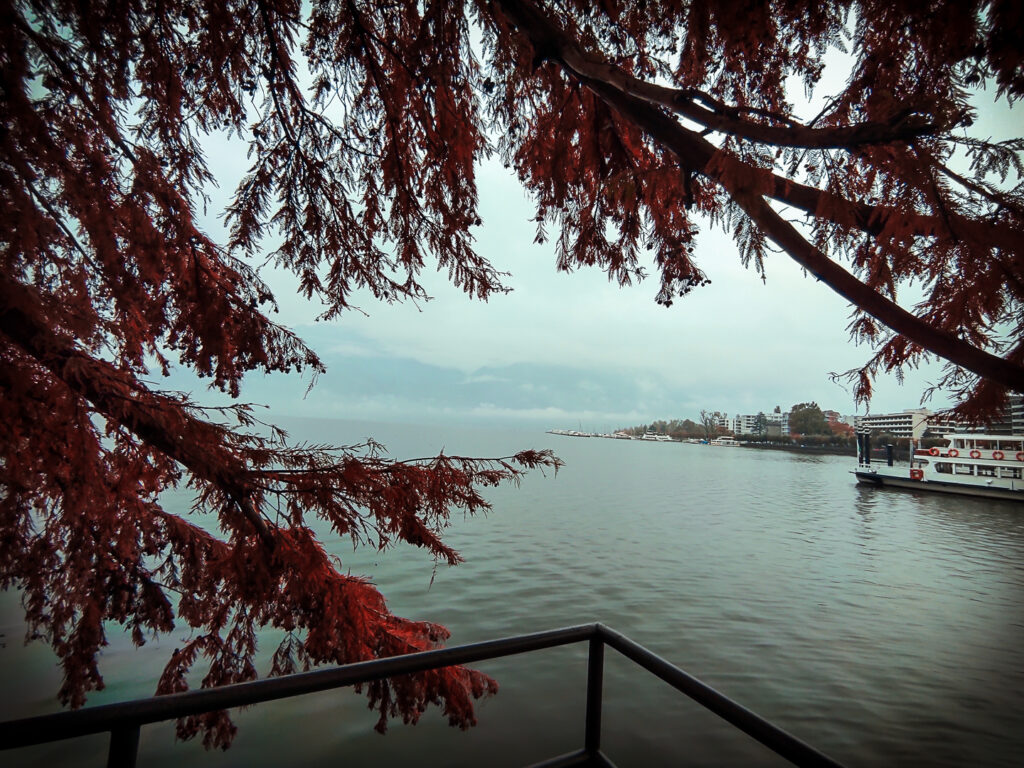Scorcio del Lago Maggiore da Locarno