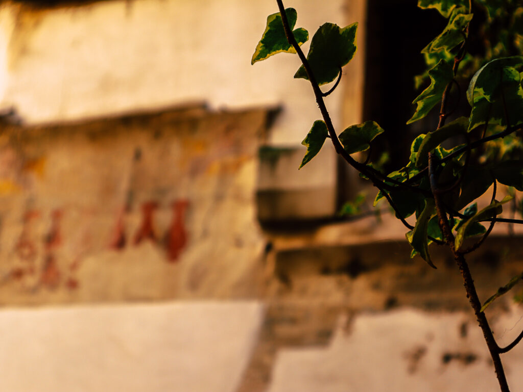 Dettaglio del cortile della Sinagoga Tedesca.